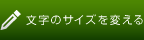 文字サイズを変える