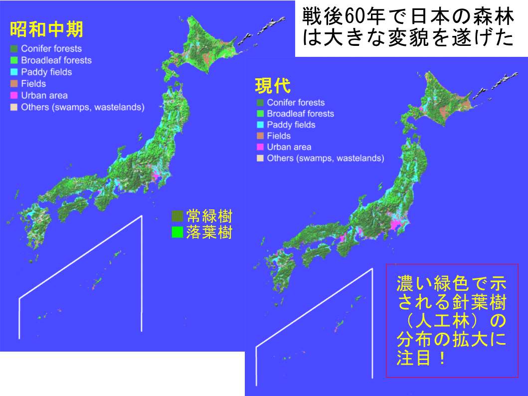森と人の関係_23.jpg
