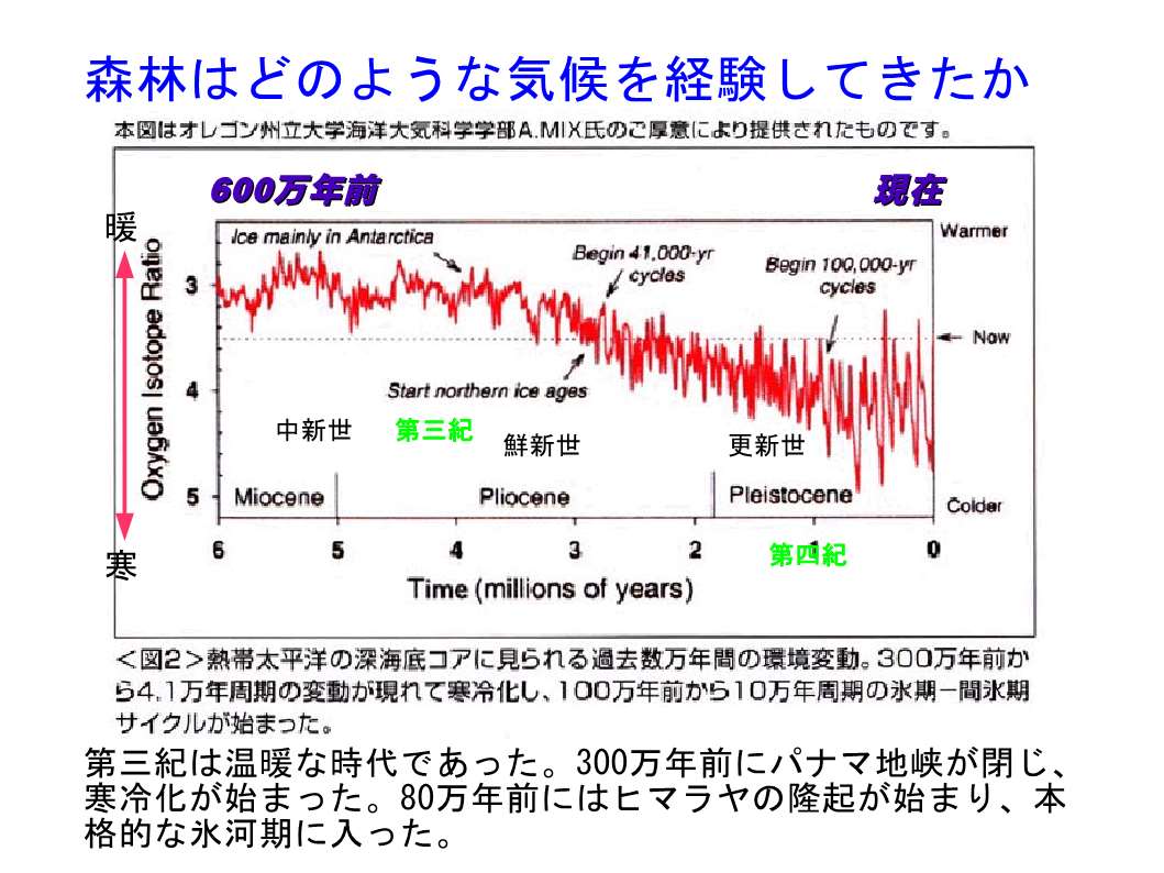 森と人の関係_5.jpg