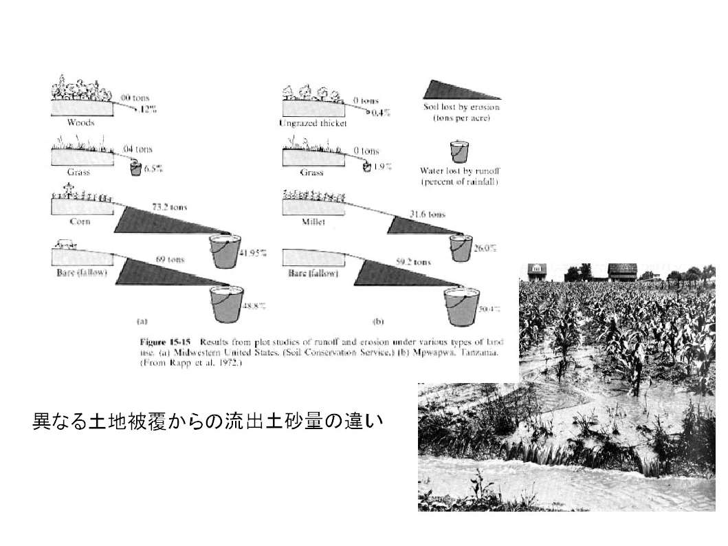 裸地に降った雨が表面流を形成すると、大量の土壌が失われます。耕地では生産力が減退します。