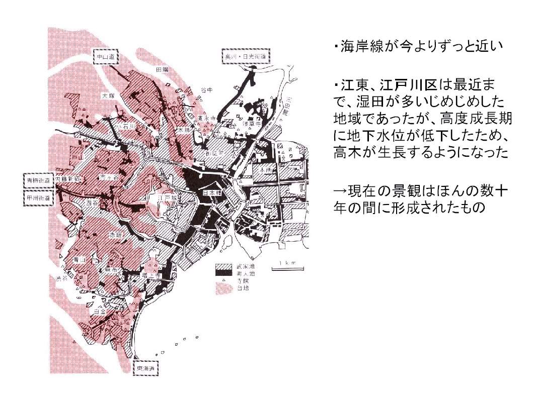 東京は埋め立てにより、陸地面積を拡大させてきました。下町低地の直線上の水路は、計画的に干潟の埋め立てを進めた名残です。
